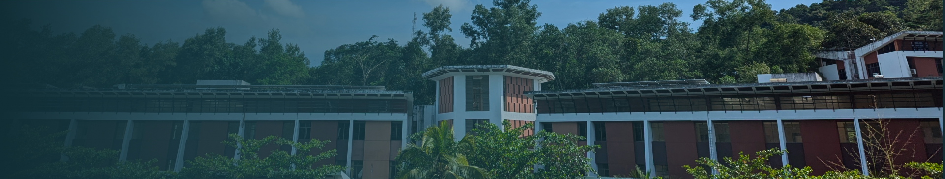 About Us