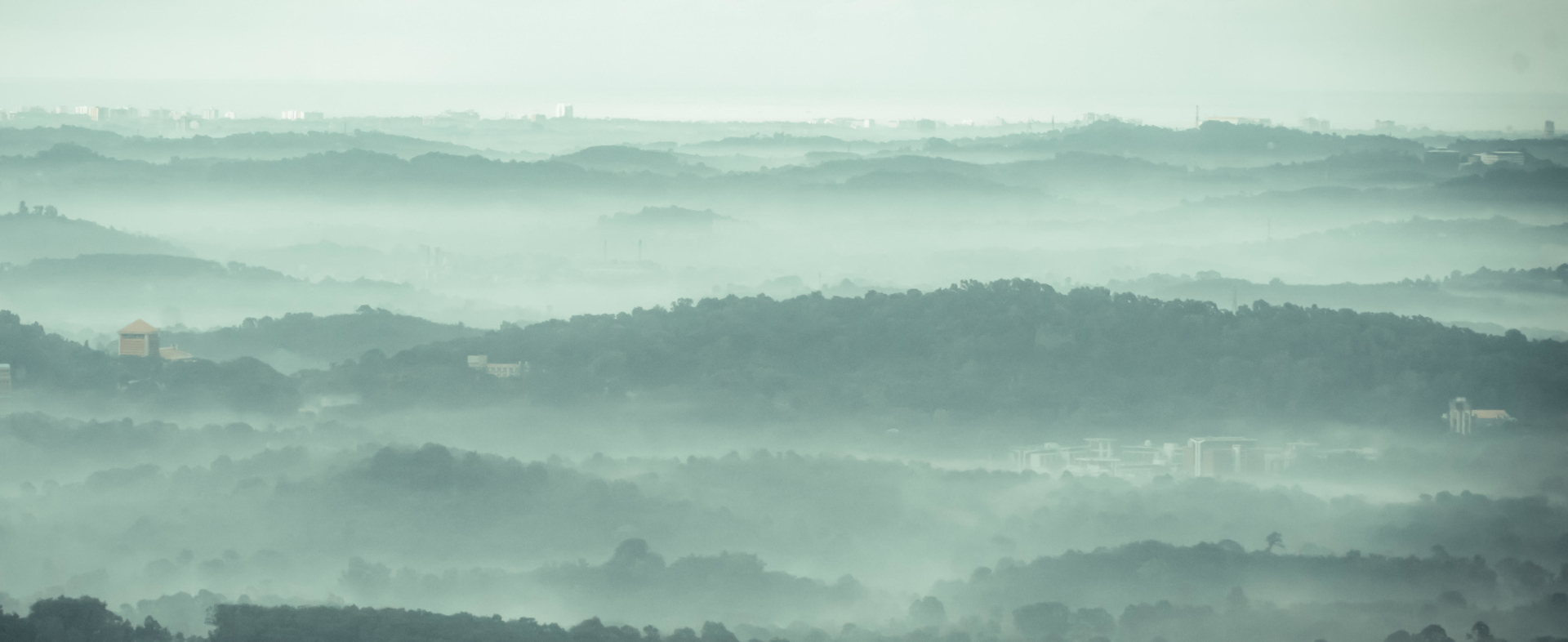 Amid the mists and fog, brilliance brews quietly.