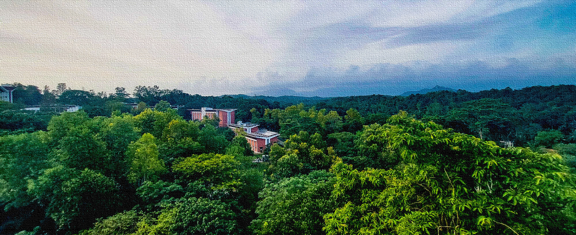 A serene setting where intellect blooms.