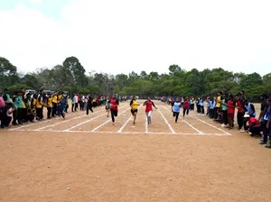 sports20258